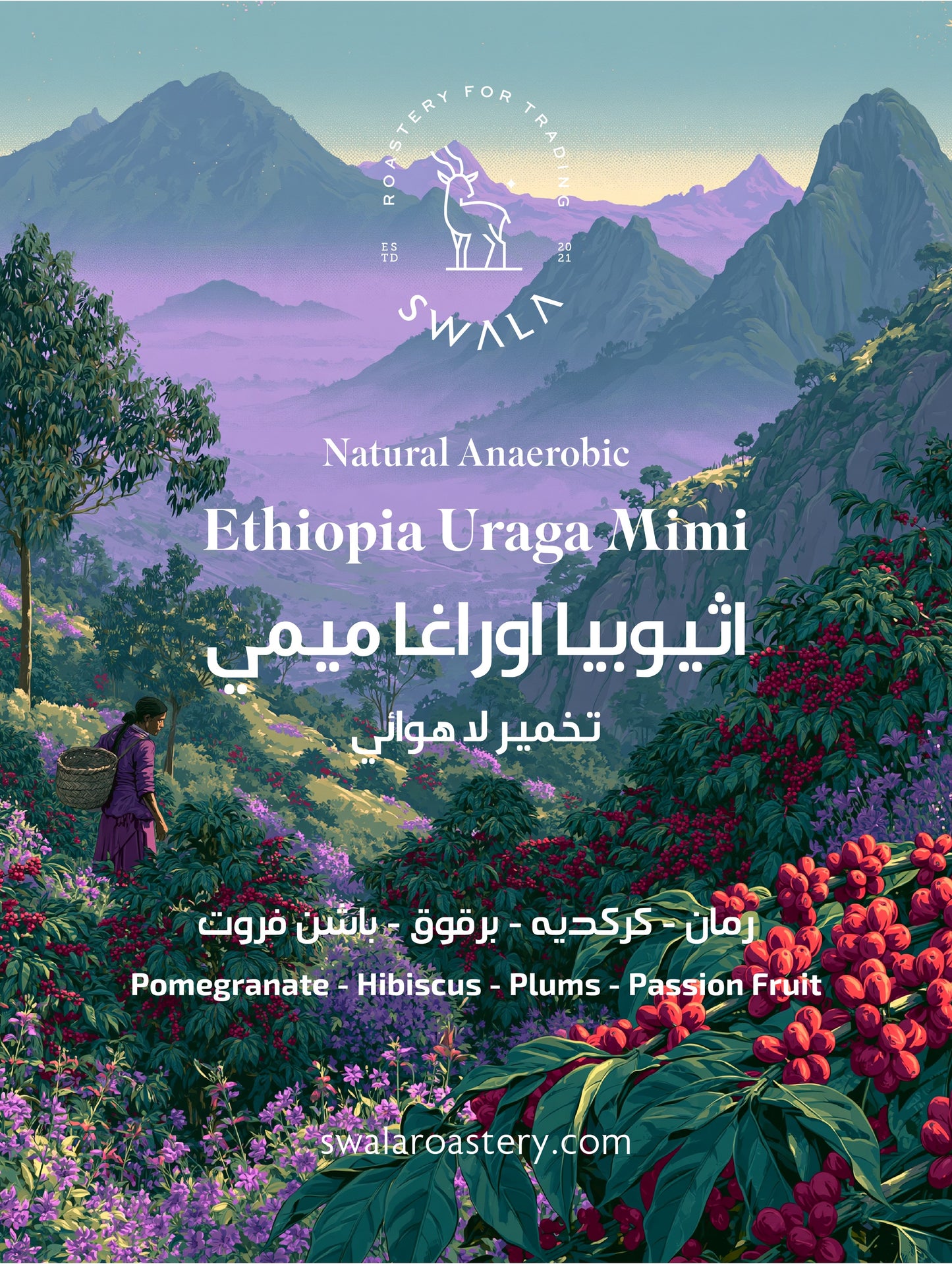 قهوة مختصة إثيوبيا أوراغا ميمي - تخمير لاهوائي | Ethiopia Uraga Mimi specialty coffee — natural anaerobic, heirloom, 2300 MASL — SwalaRoastery