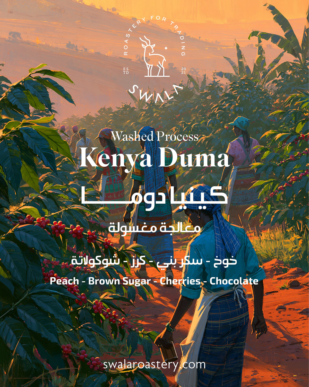 قهوة مختصة كينيا دوما - معالجة مغسولة | Kenya Duma specialty coffee — washed process, 1600 MASL — SwalaRoastery