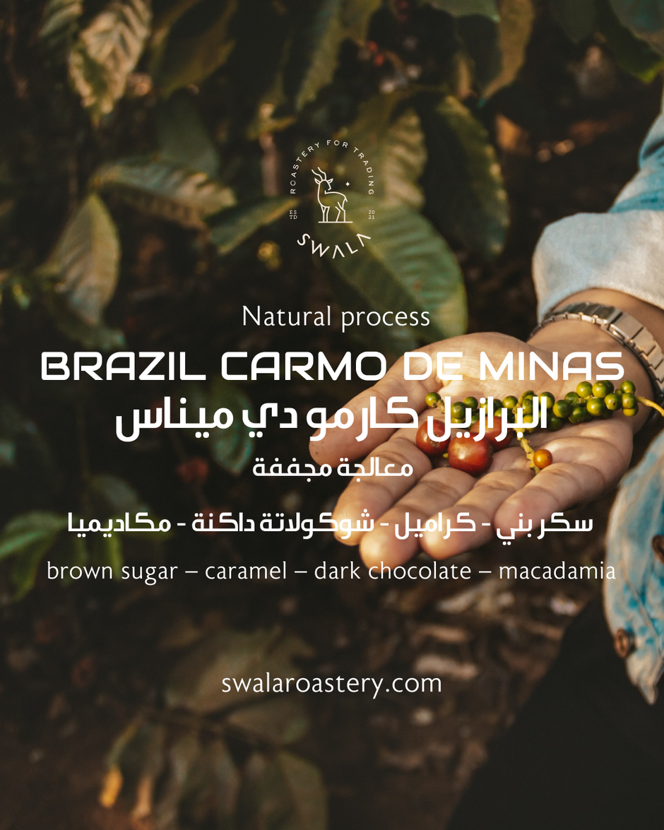 Swala Roastery Specialty Single-Origin Coffee | SwalaRoastery Doha