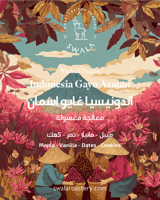 Indonesia - Gayo Asman - إندونيسيا غايو أسمان