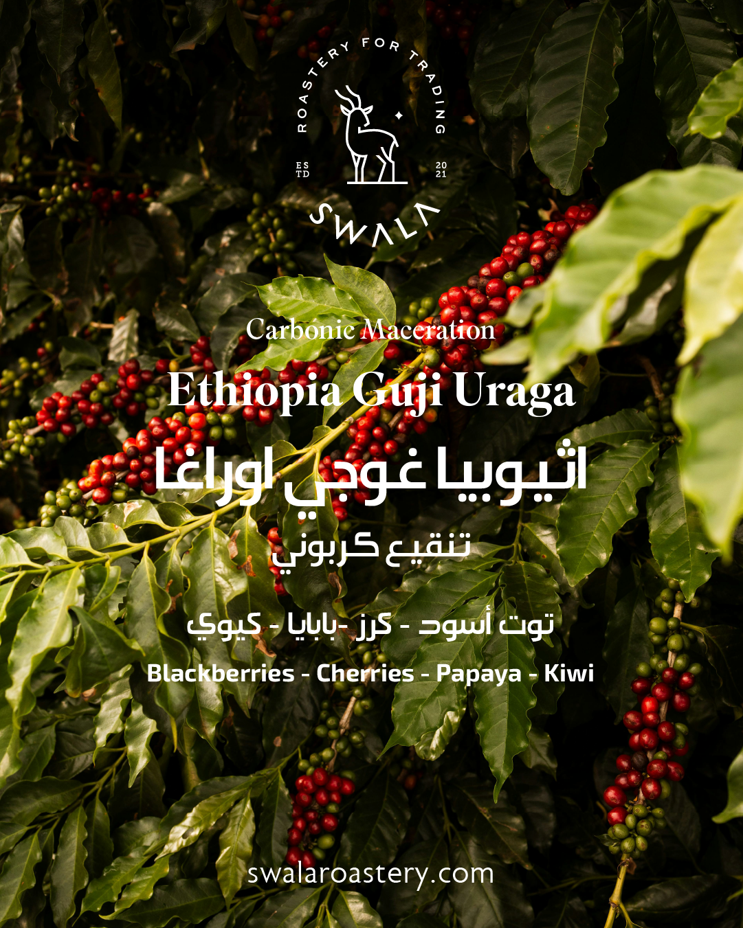 Ethiopia Guji Uraga CM - اثيوبيا غوجـــــــي أوراغا